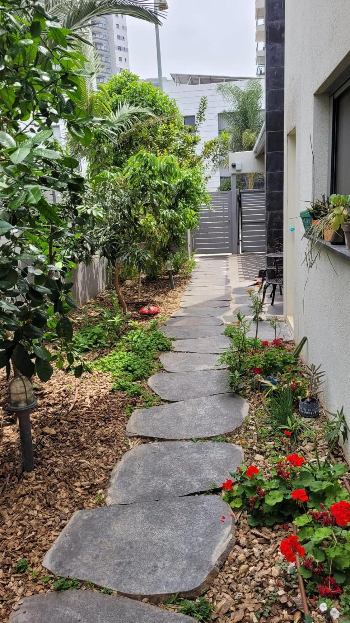 נקודות ריפוי Homestay Tirat Carmel